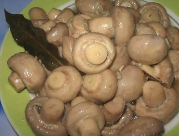Венесуэльские грибы
